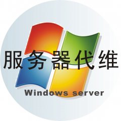 <b>windows服务器代维</b>